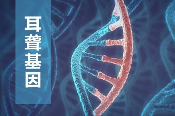 试管技术能否有效排除耳聋基因？