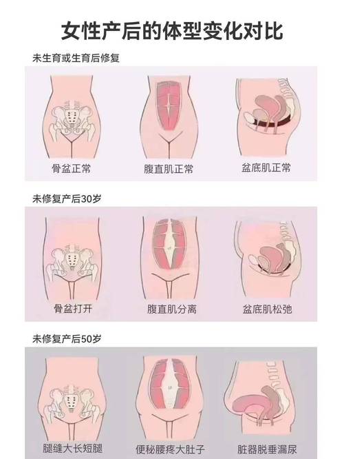 子宫生理状态