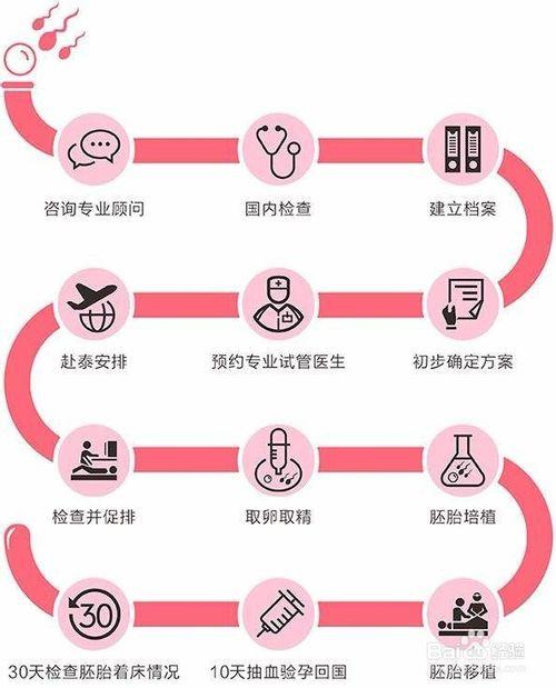 深入探讨：去泰国做试管婴儿是否真的有必要？