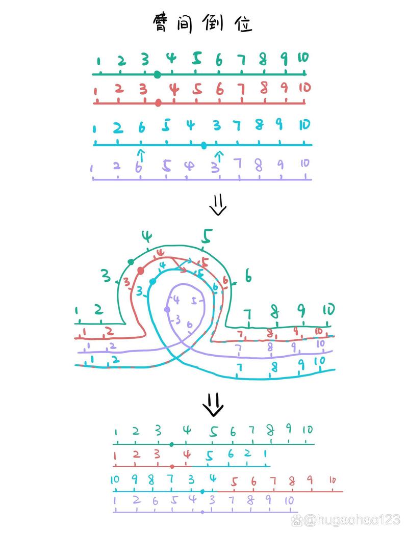 9号臂间倒位的治疗方法：是否需要试管辅助?