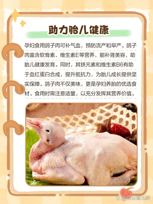 试管婴儿早期孕妇能否食用鸽子肉？