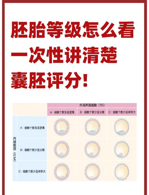  高胚选择