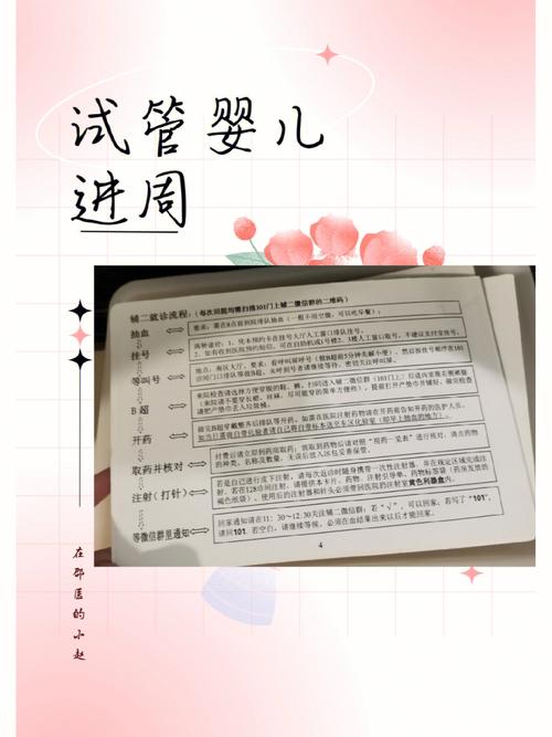 试管婴儿成功率分析：今天进周随后会发生什么？