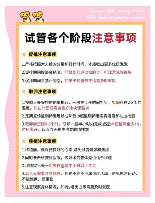 选择试管婴儿的最佳目的地：哪些国家最受欢迎？