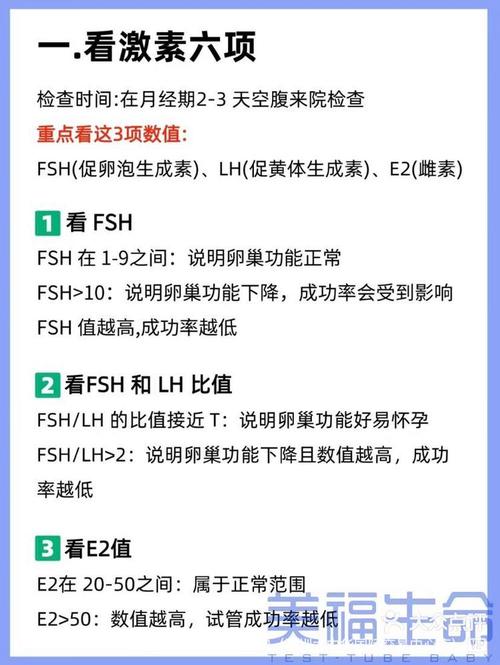 试管婴儿怀孕比率揭秘：成功率究竟有多高？