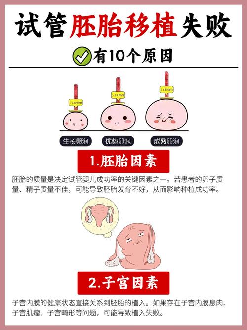  胚胎移植失败