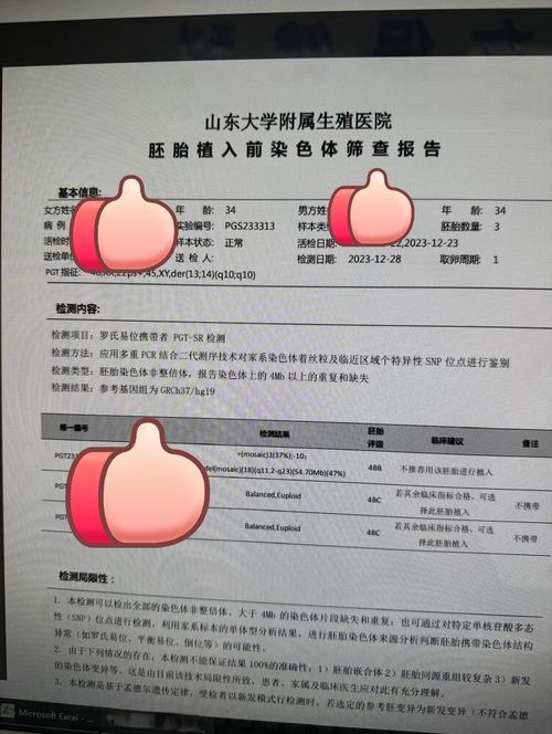  囊胚筛查