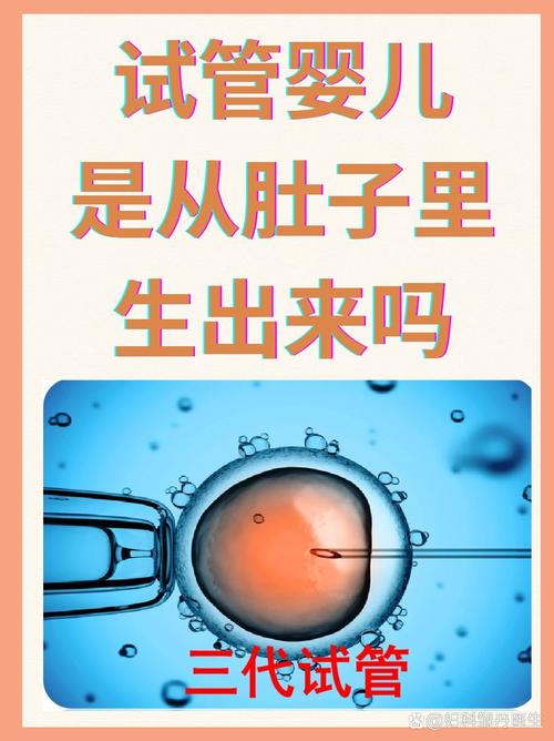 试管婴儿过程中取9个卵子是否属正常范围？