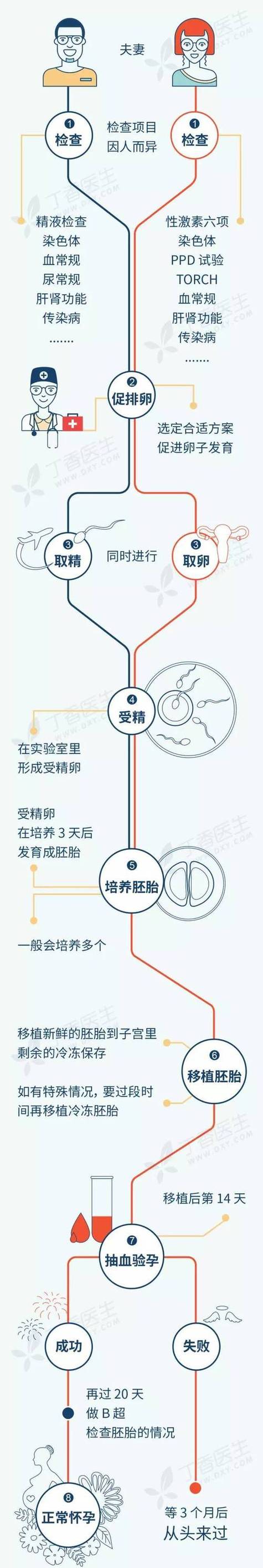 安徽省试管婴儿政策解读：是否有补贴支持？