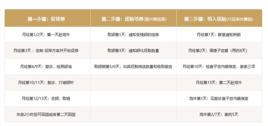 探讨去泰国进行试管婴儿的费用有多少？