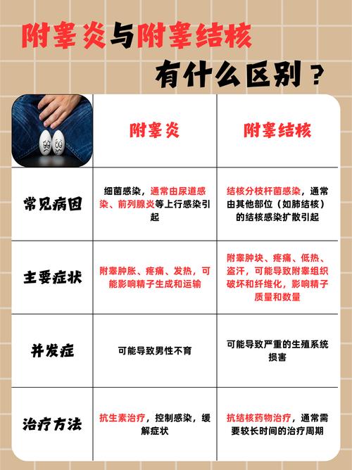 男性附睾结核患者能否进行试管婴儿治疗？