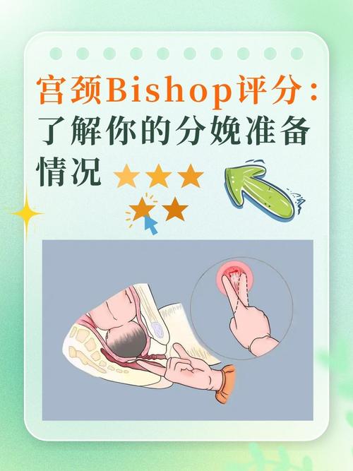 子宫评估