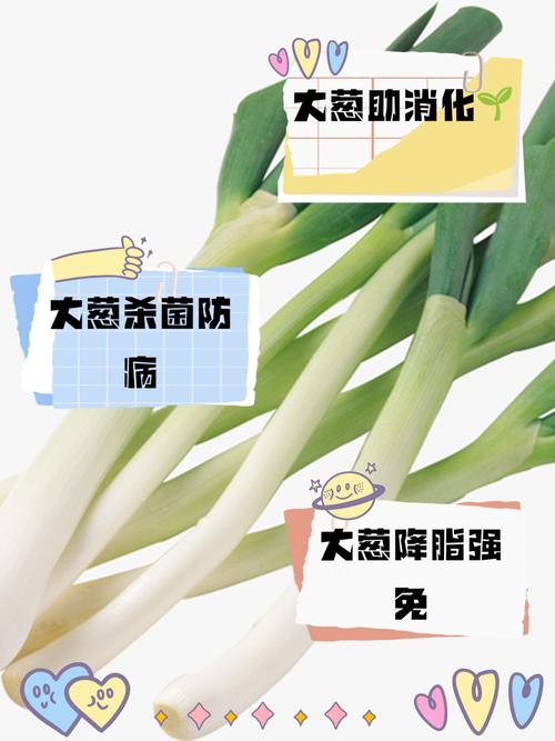 试管移植期间感冒患者是否可以食用大葱？