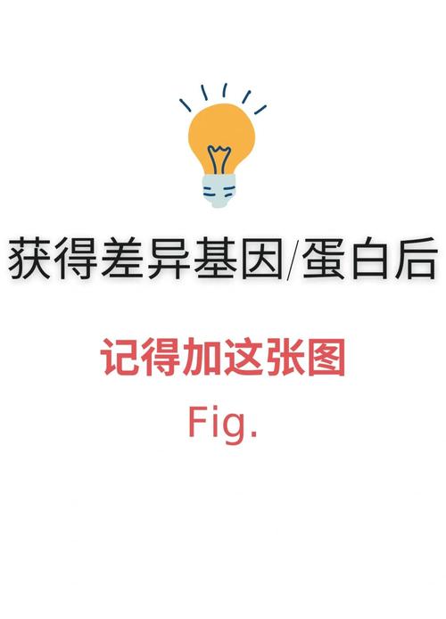 基因差异