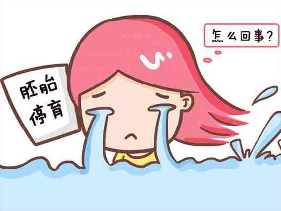 胚胎停育后能否进行试管婴儿治疗？