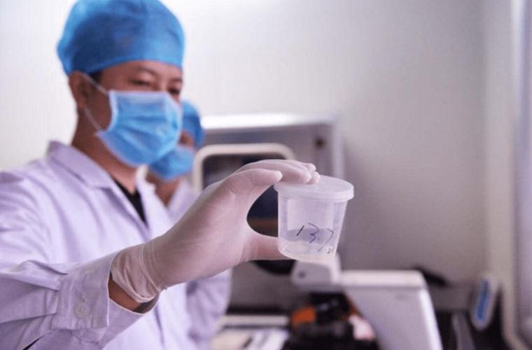 精子移植