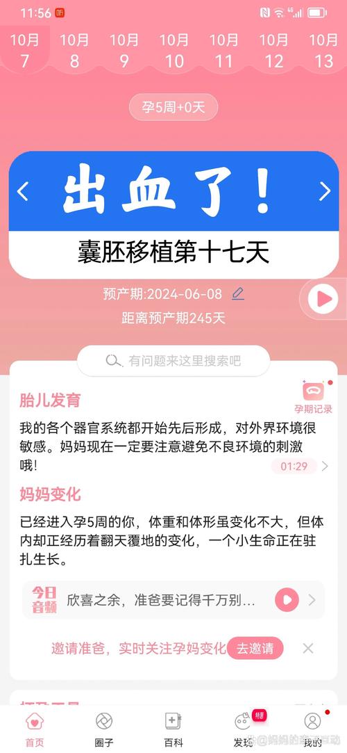 移植第十七天