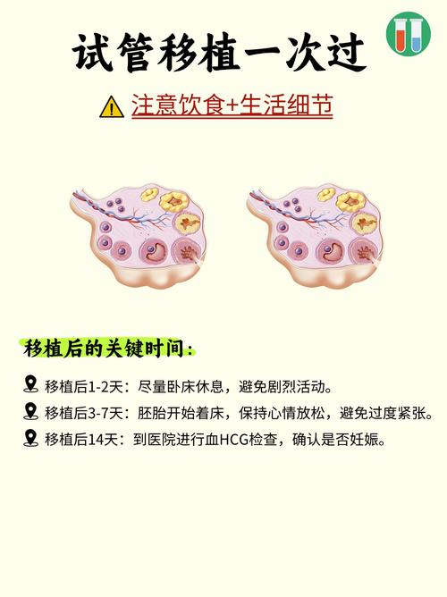 试管阶段饮食须知：能否安全饮用咖啡？