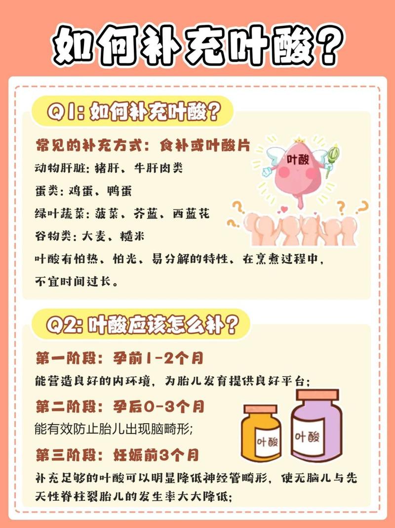 试管移植后是否需要继续补充叶酸？