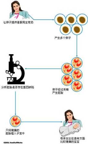 多囊肾患者能否成功进行试管婴儿治疗？