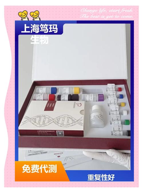 FISH三代试管