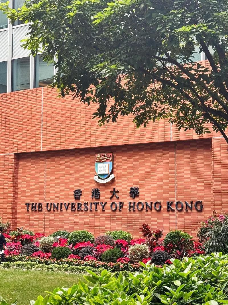  港大