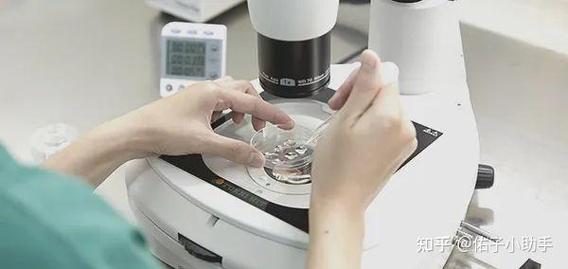 深圳市试管婴儿机构推荐：哪家更专业更靠谱？