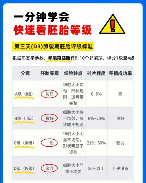 做试管婴儿后是否会导致发胖？分析与解读