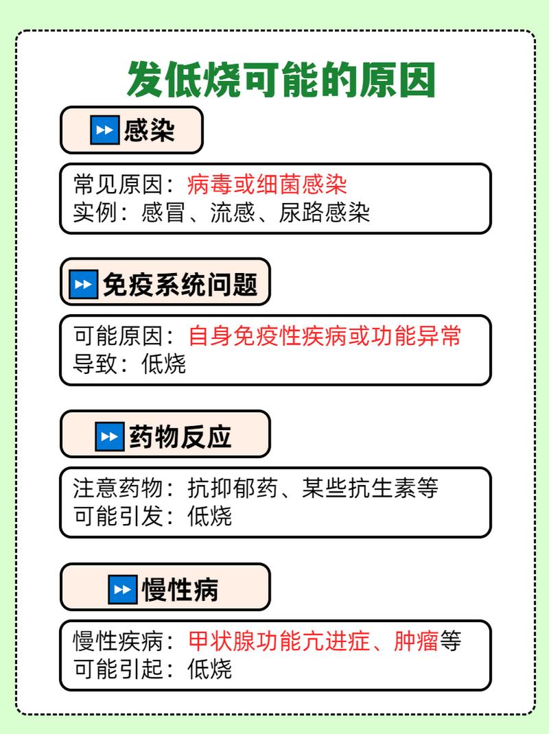 低烧原因