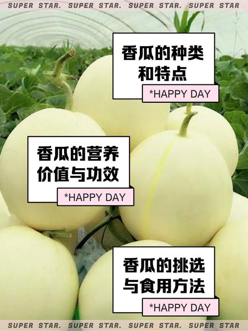 试管孕育的奇迹：能否安全食用香瓜？
