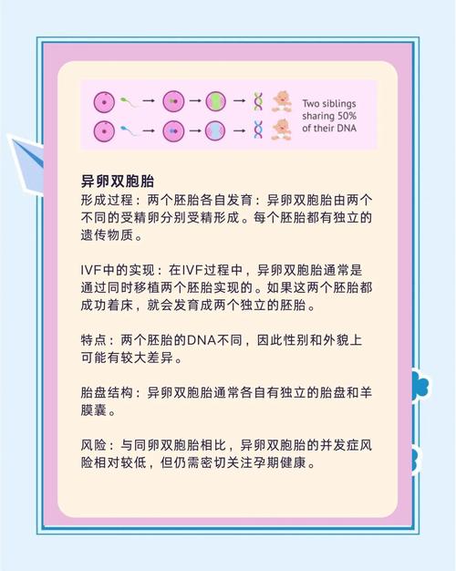试管婴儿中两个胚胎是最佳选择吗？