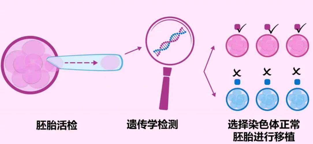  试管免疫技术