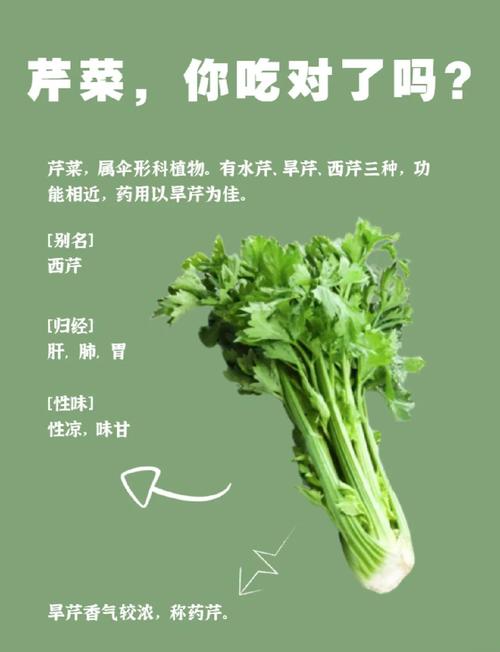 试管婴儿期间饮食指南：芹菜可以食用吗？