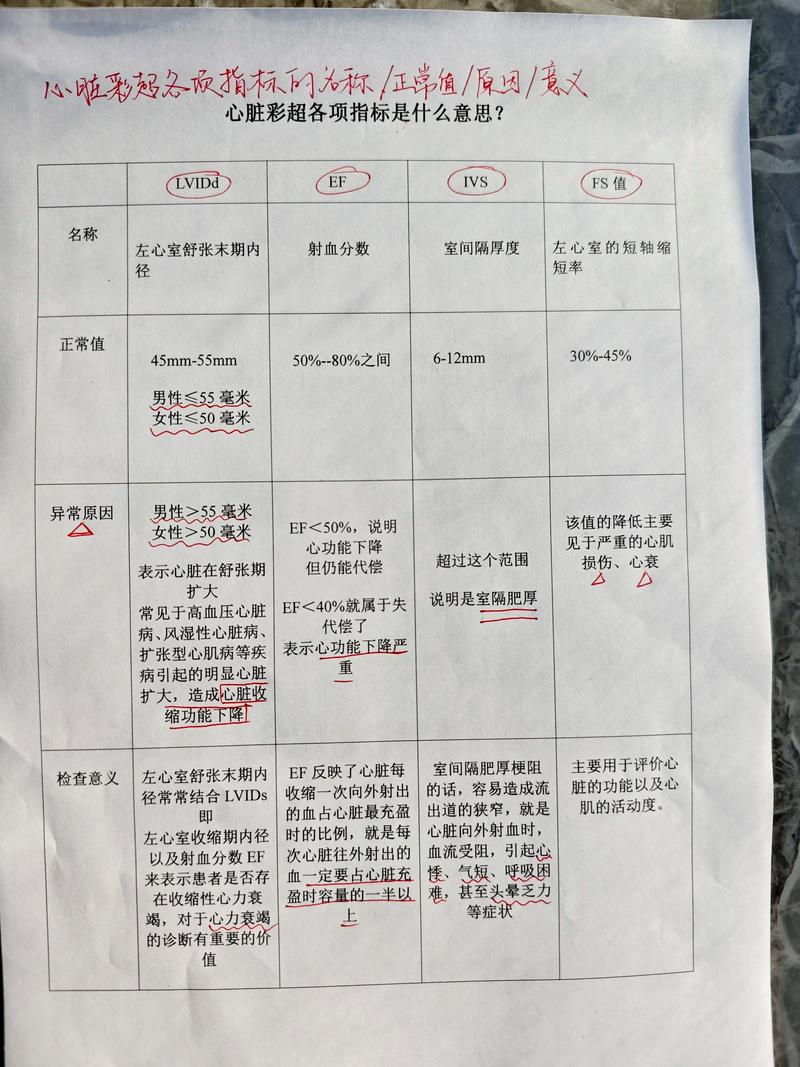 超声指标
