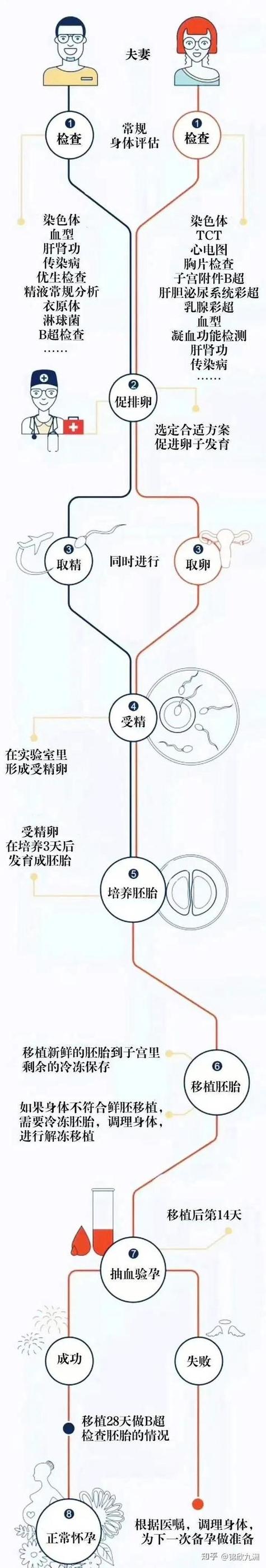 试管婴儿技术：能否筛选宝宝的血型？