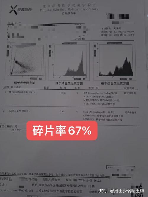 在精子碎片50的情况下，试管婴儿能否成功？