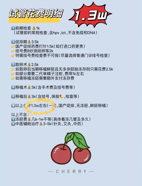 医疗费用
描述: 本文全面解析选择性试管婴儿费用，深入探讨治疗方案、胚胎筛选技术、医院地区差异及药品费用等影响因素，帮助读者了解相关费用情况，为可能的选择做好准备 。