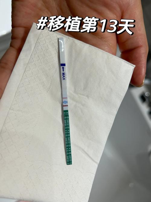 移植13天