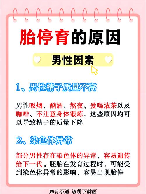 试管移植后胎停怎么办？流产流程及注意事项详解