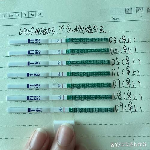 移植9天检查