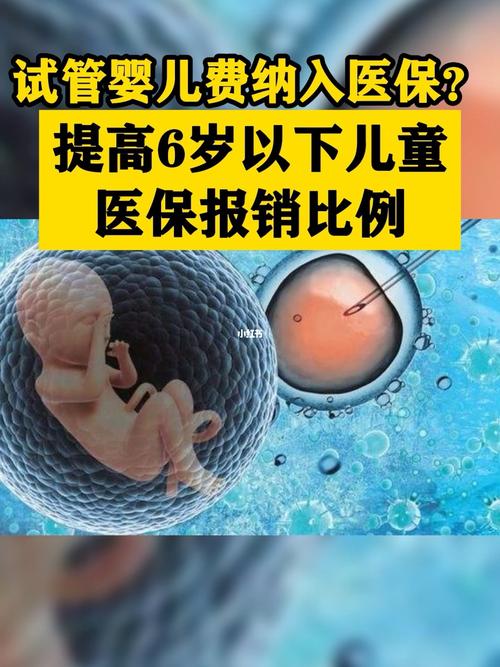 荷兰试管婴儿是否可以申请医保覆盖？