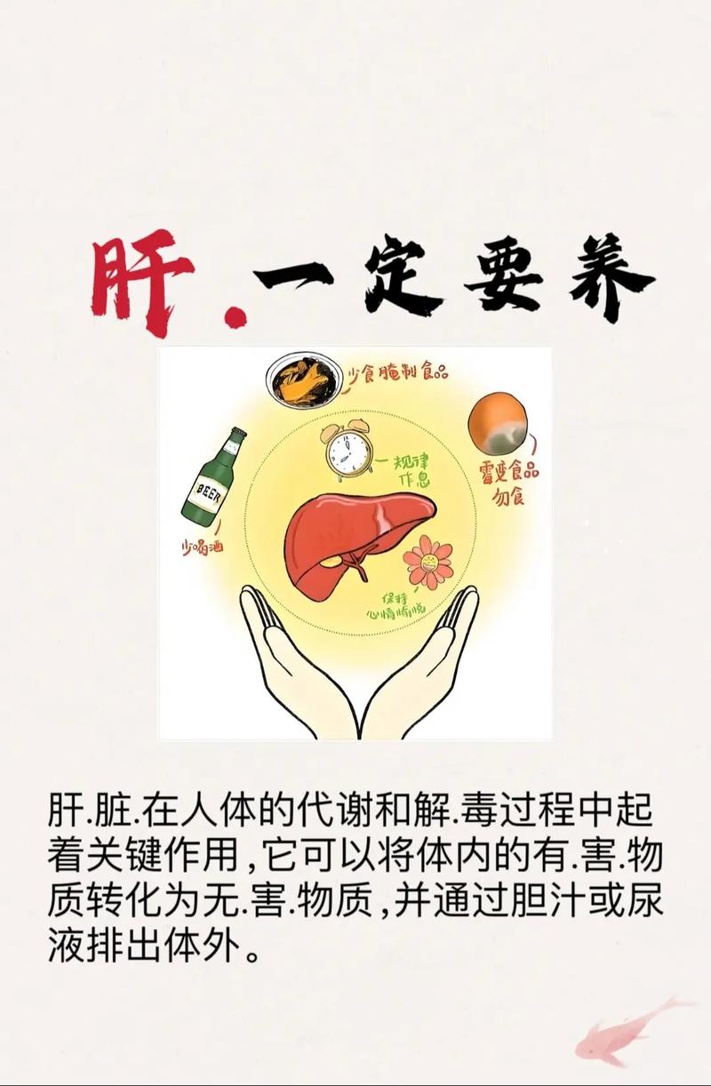  肝脏健康