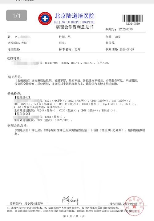  会诊报告