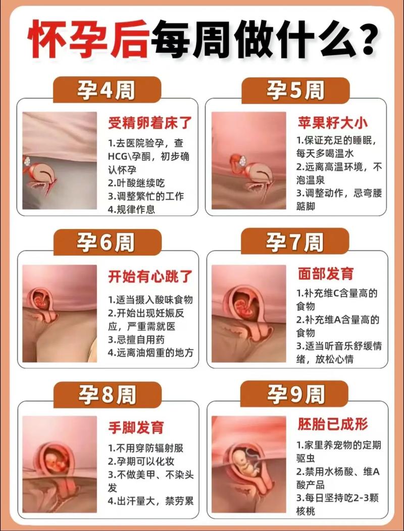 4周