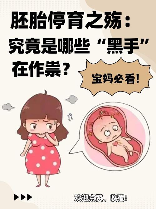 胚胎毁坏风险