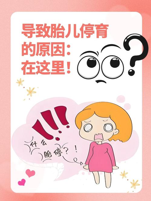 胚胎停育风险