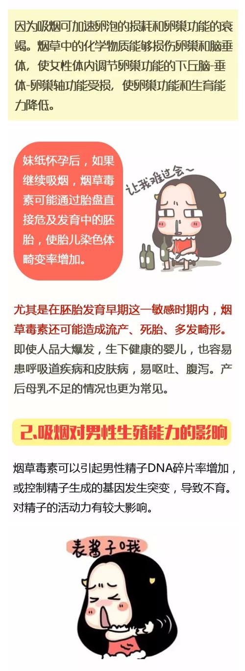 试管婴儿期间吸烟会对胎儿产生哪些影响？