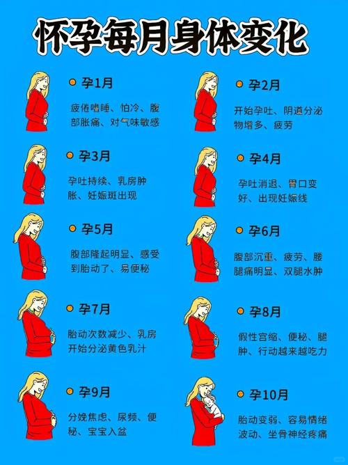 母体变化