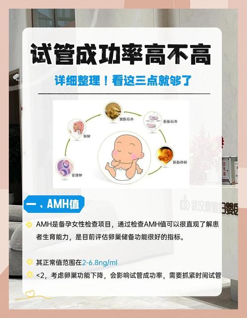 自精冷冻试管成功率究竟有多高？全面解析！