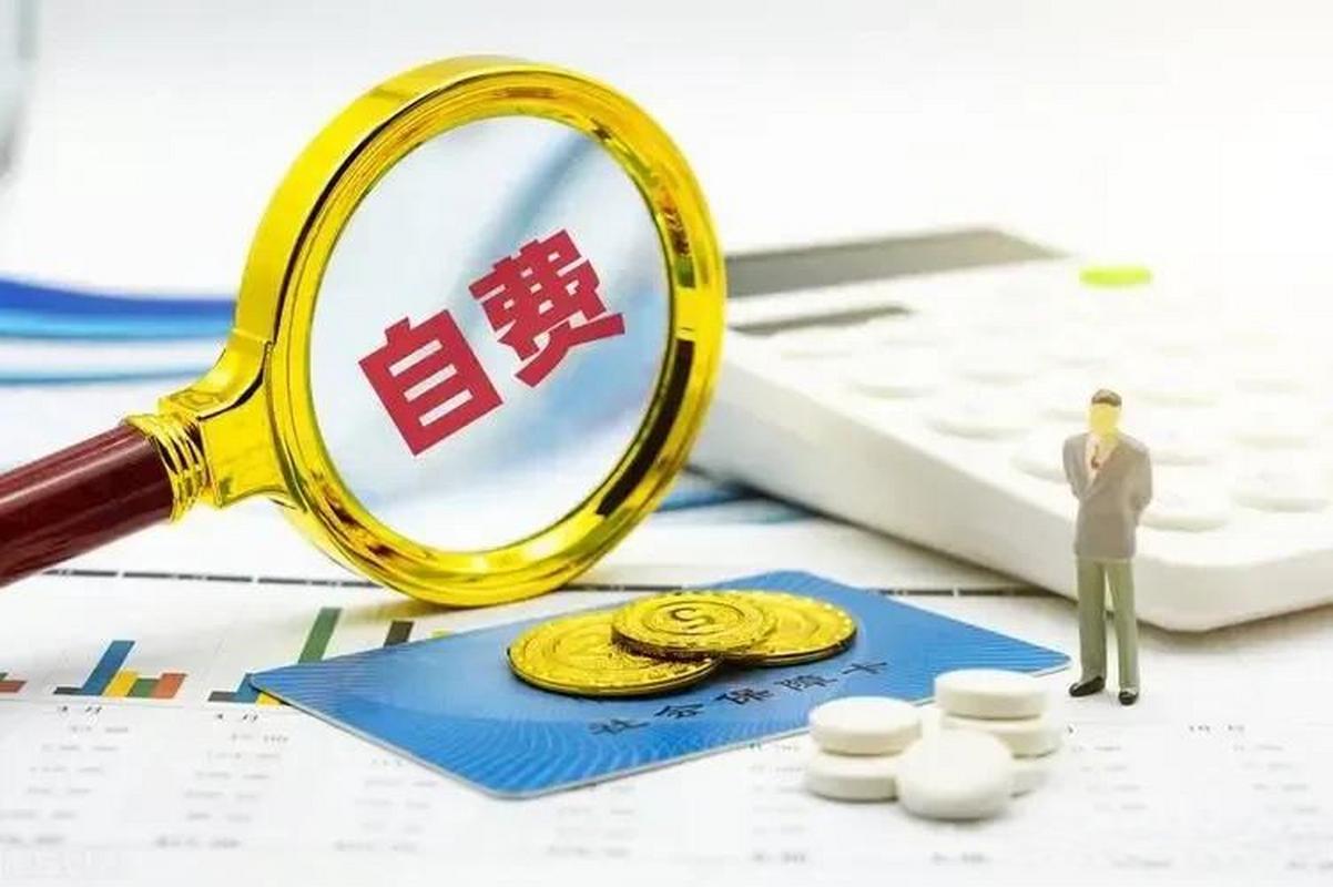  自费
